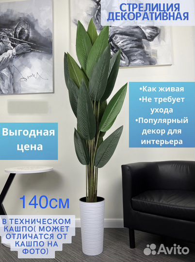 Стрелиция искусственная