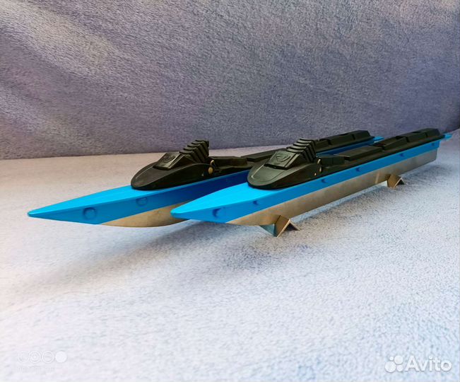 Коньки озёрные (байсы/нордики)