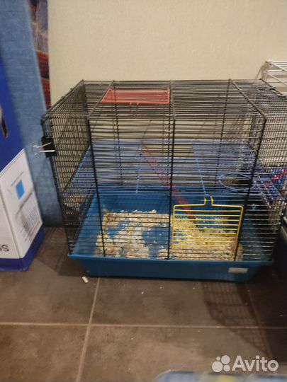 Товары для грызунов