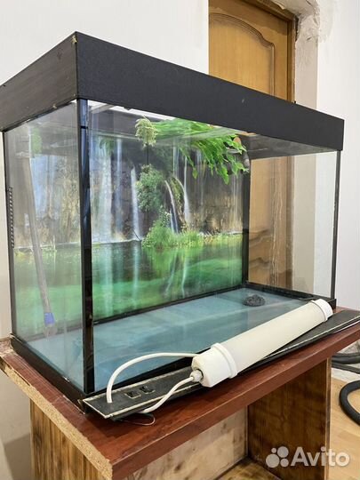 Аквариум