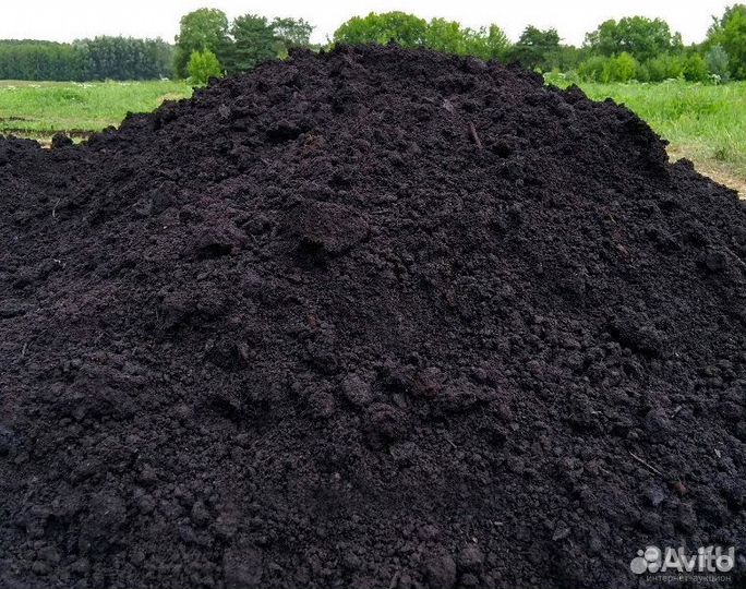 Земля/чернозем