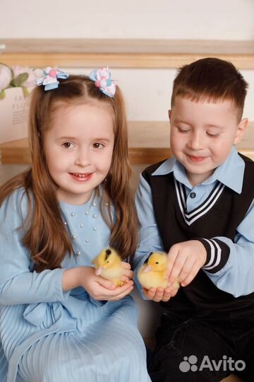 Пасхальная фотосессия с утятами и кроликом