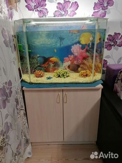 Аквариум