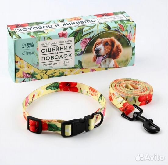 Комплект аммуниции для собак, поводок+ошейник