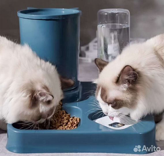 Автоматическая кормушка