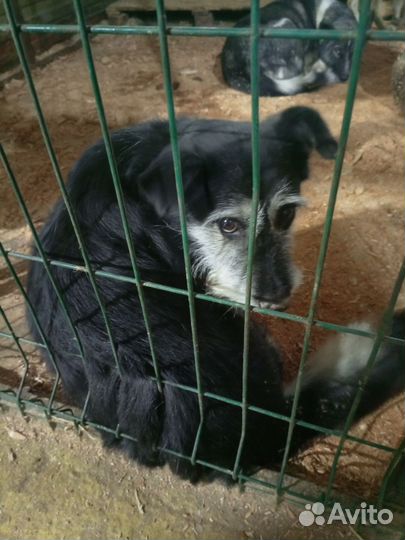 Так выглядит предательство, человек как ты спишь