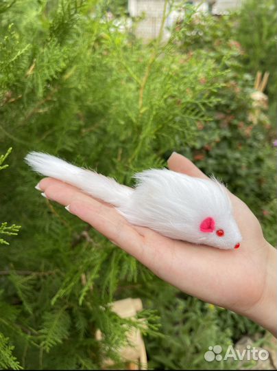 Игрушки для кошек