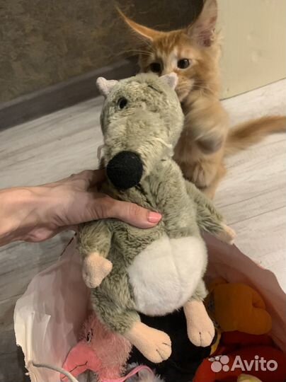 Мягкие игрушки пакетом бесплатно