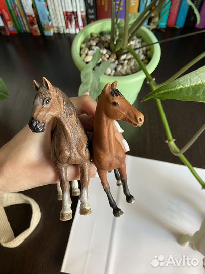 Лошади шляйх schleich