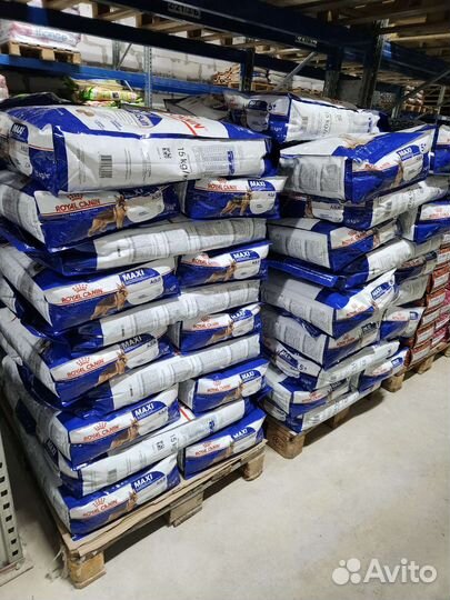 Сухой корм для крупных собак 15 кг Роял Канин