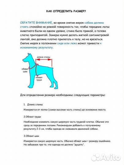 Новый комбинезон для собак