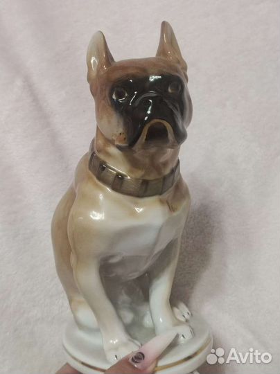 Статуэтка Бульдог, фарфор лфз СССР