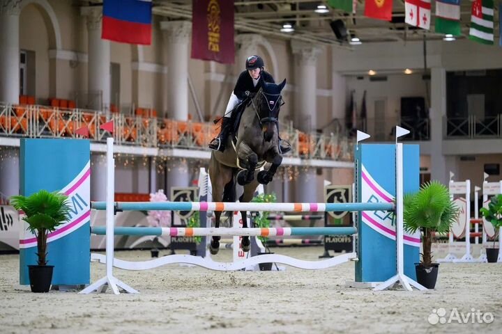 Лошадь в аренду занятия верховой ездой
