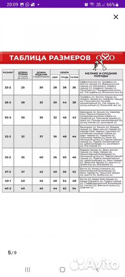 Дождевик для собаки девочки