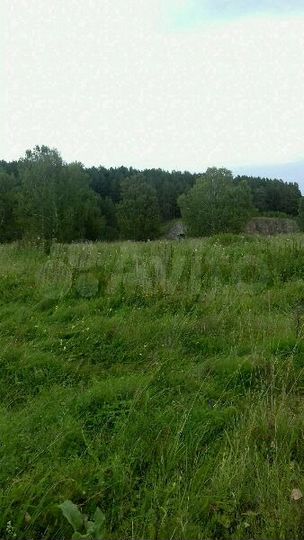 Участок 45 сот. (ИЖС)