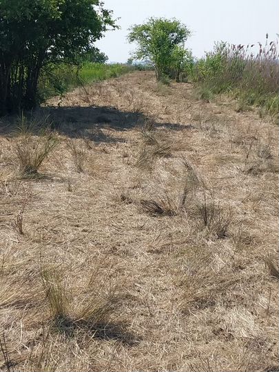 Участок 7,6 га (промназначения)