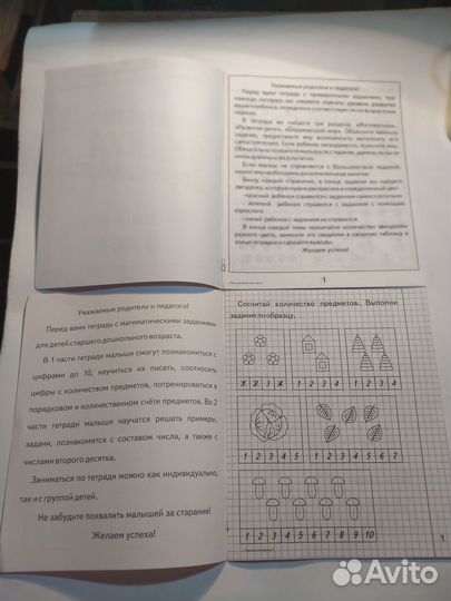 Рабочие тетради дошкольника набор 2 шт