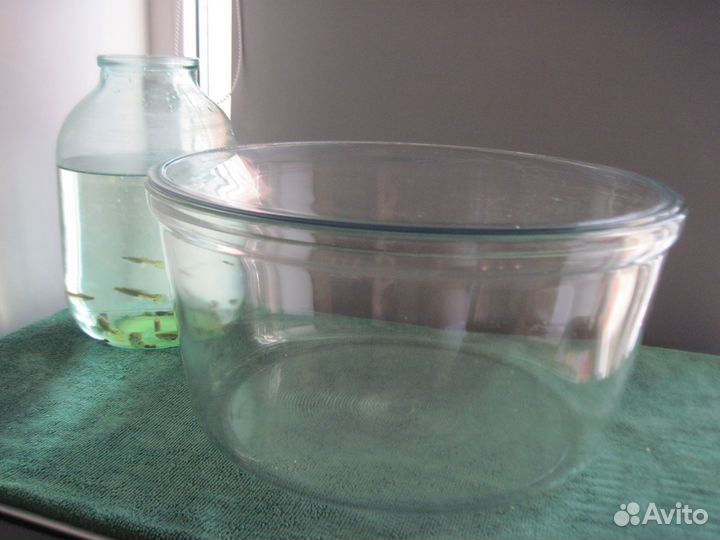 Аквариум цельнолитой круглый с крышкой. Стекло