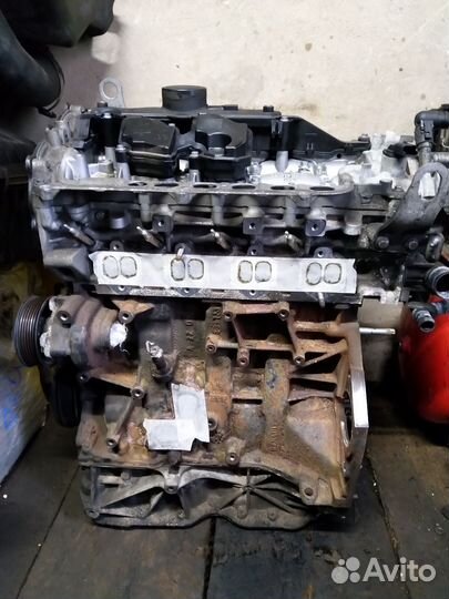 Двигатель рено колеос 1 ниссан x-tral 2.0 дизель