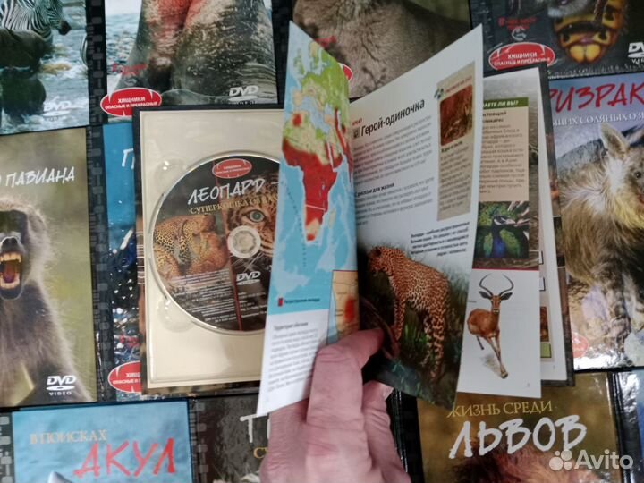 Собрание фильмов про дикую природу-DVD+книги-21 шт