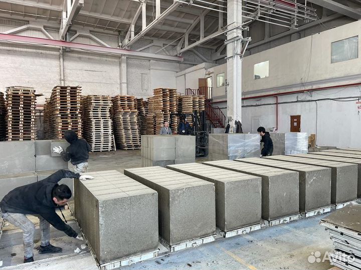 Пеноблоки 600-300-100 D600