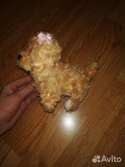 Собака пищащая, ходячая как раз для вашего дитя