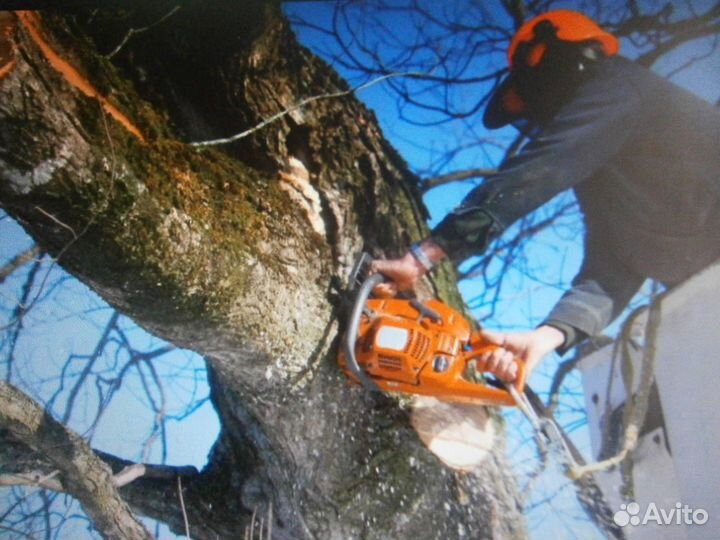 Спил деревьев. Обрезка