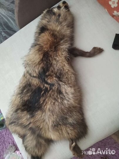 Шкурка животного