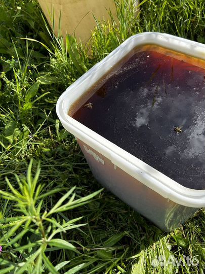 Медтаежный опт