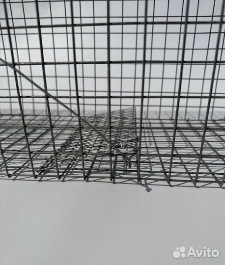 Ловушка для лис,ласок,котов