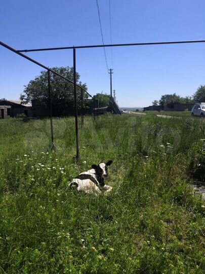 Дом 179,5 м² на участке 20 сот.