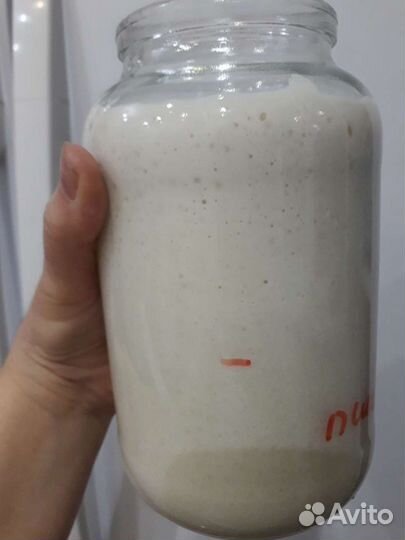 Закваска для хлеба Левито мадре ржаная и пшеничная