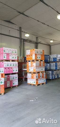 Вентилятор для авторефрижератора 5h14