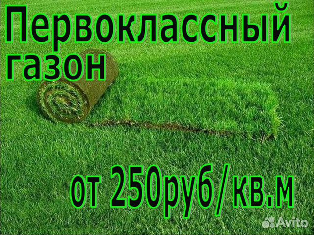 газон на участке. обустройство участка. травосмесь для газона универсальная. ухоженный газон. медвежья поляна рулонный газон.