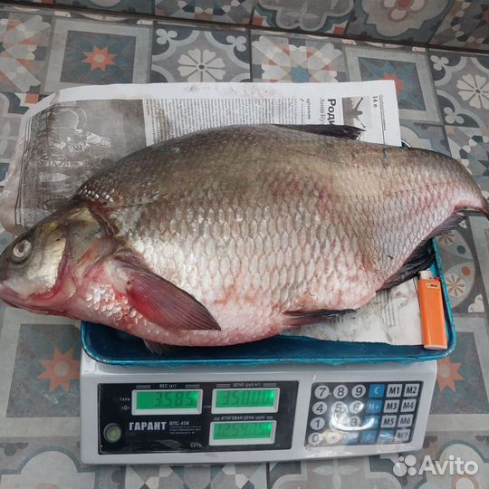Лещ свежий