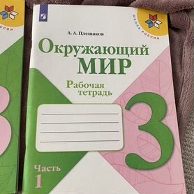 Рабочая тетрадь Окружающий мир. Плешаков