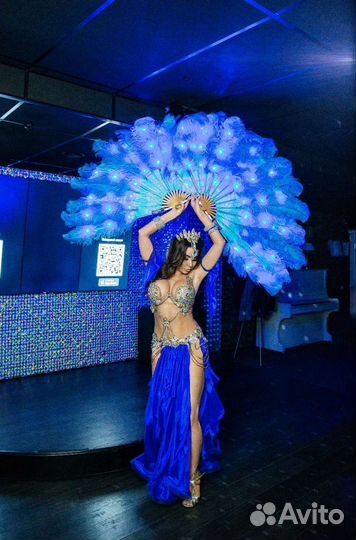 Восточное шоу, Танец живота, Восточный Шоу-балет