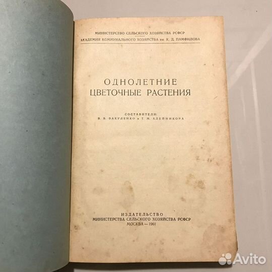 Однолетние цветочные растения