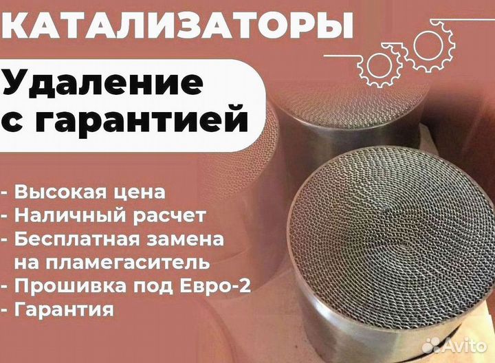 Удаление катализатора бесплатно/ чип тюнинг евро 2