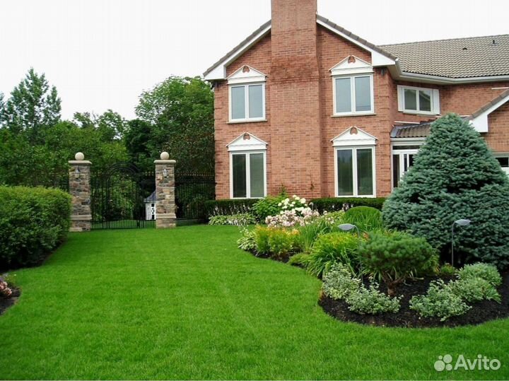 Рулонный газон.Ландшафтное проектирование под ключ