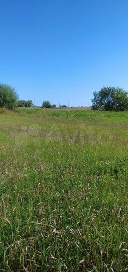 Участок 60 сот. (ИЖС)