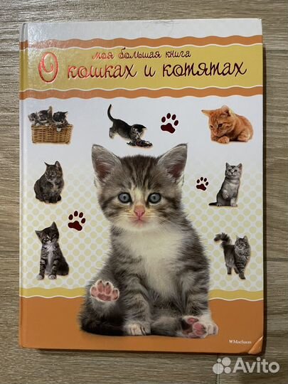 Энциклопедия про кошек
