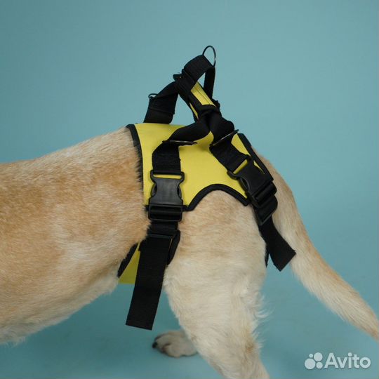 Ходунки для задних лап