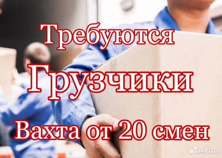 Грузчики на мясокомбинат / Брянск