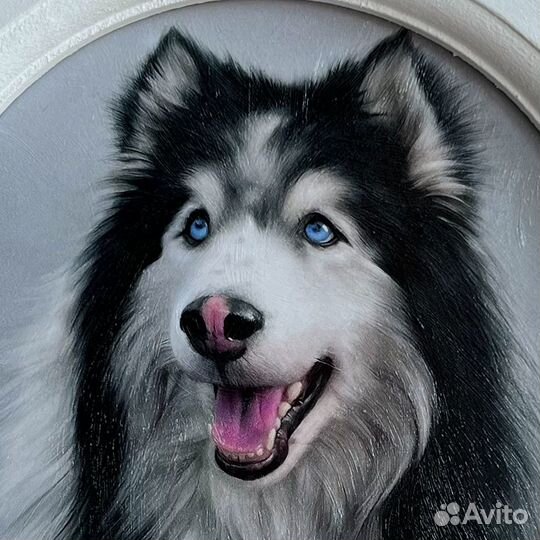 Картина Собака Хаски