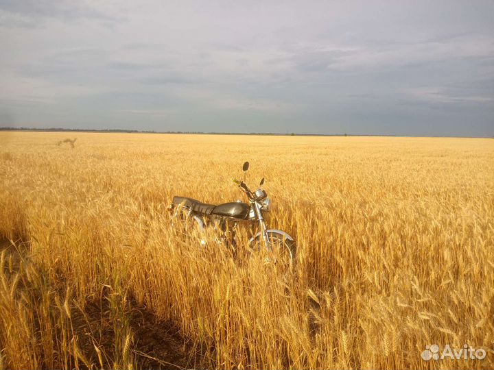 Продам Альфу