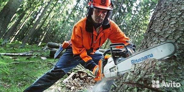 Вывоз мусора/Веток/Расчистка Участков/Демонтаж