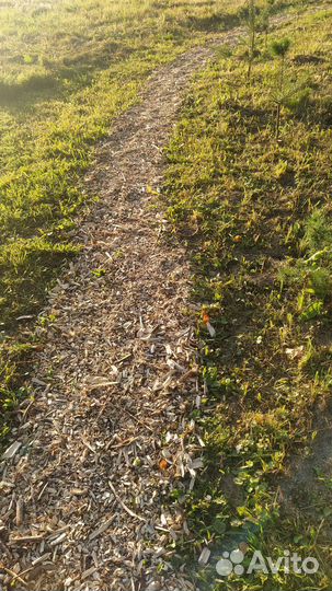 Щепа лиственных пород деревьев