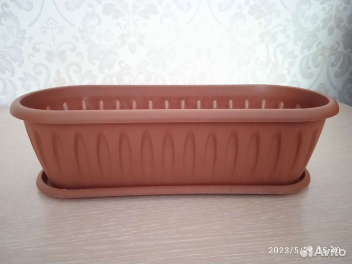 Кактусница