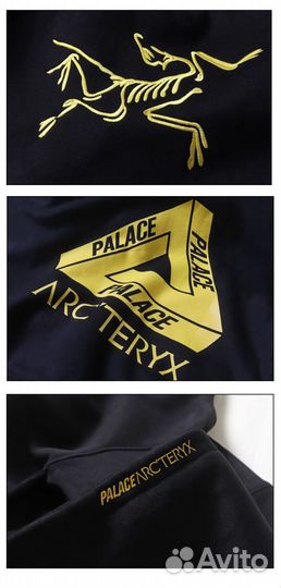 Худи Palace Arcteryx